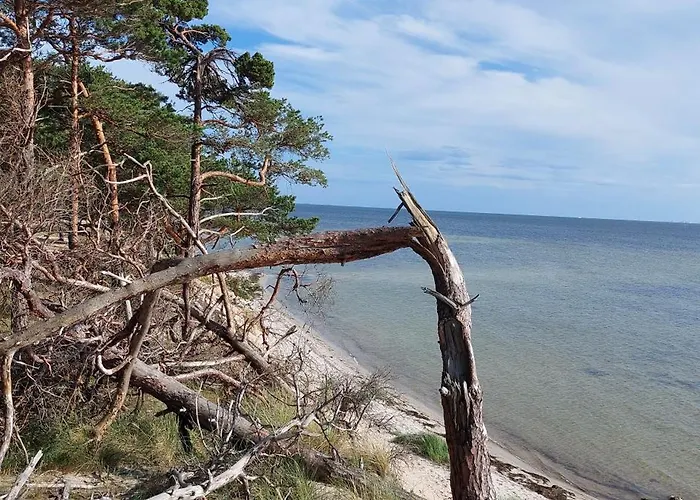 Wioska Na Klifie - Helska 11 Camping